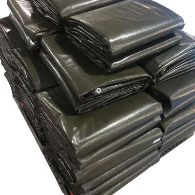 Korea High quality plastic sheet cover, low price PE tarpaulin sheet for industrial cover